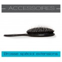 Brosse spécial extensions