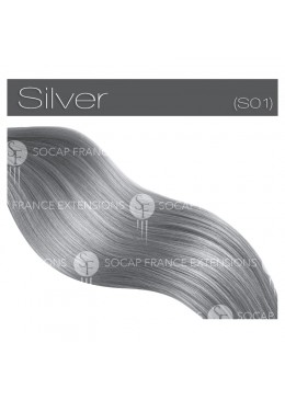 Pack 50 Extensions Kératine 50 cm en cheveux naturels