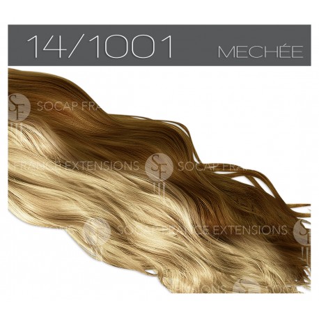 Extension 40 cm en cheveux naturels