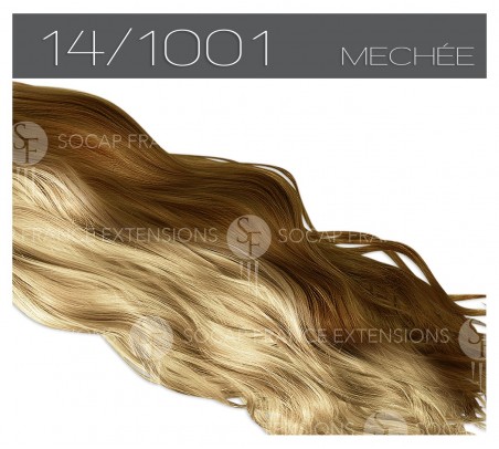 Extension 40 cm en cheveux naturels